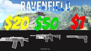 I Have $100 To Build My Ravenfeild loadout!