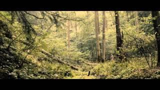 Earth Anatomy: Brand Film