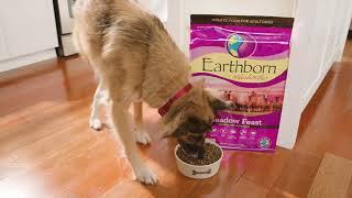 Earthborn Holistic Food for Dogs & Puppies -  30 sec.