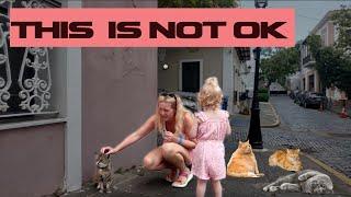 Our Hearts Broke Seeing This in Puerto Rico