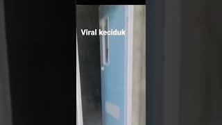 Viral!!Dua Pemuda Terciduk Emak-Emak Lagi Mesum Di Toilet