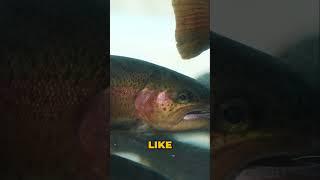 Microbial Defense System