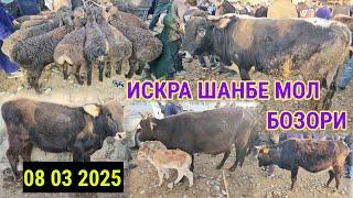 ИСКРА ШАНБЕ МОЛ БОЗОРИ КУРС 1000 РУБИЛ 122 СОМОН 08 03 2025