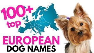 Top 100+ EUROPEAN Dog names– Unique Dog Names