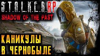 НОВАЯ ИСТОРИЯ ️ STALKER RP ️ 2K ️ Shadow Of The Past (s1 e1) DayZ РП 1.19 l 7.01.2023