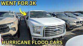 Hurricane Flood Cars Are Going For A Steal! Mike Explores Punta Gorda Copart