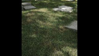 how to create realistic grass with vray fur in autodesk 3d max