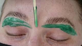 No GLUE Brow Lamination + Henna Bee Eyebrow Tint