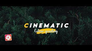 Cinematic Colour Grading in Kinemaster | The Creators