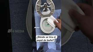 ¿Dónde se tira el papel de baño?