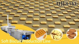 Qhbake soft biscuit line biscuit making machine how to make biscuit