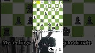 my brilliancy #chessiesofinstagram, #chesspuzzles, #grandmaster, #art, #chesslove, #chesstime