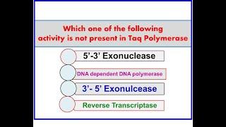 Taq  DNA Polymerase activities: