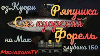 #рр4  оз.Куори Ряпушка Сиг куорский  Форель на Мах 21.07