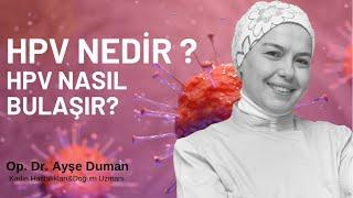 Hpv Nedir ? Hpv Nasıl Bulaşır? Hpv Pozitif Ne Demek? Hpv Kanser Yapar mı?