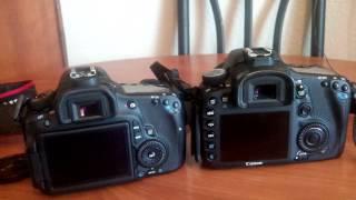 Canon 7D vs 60D what separates the two