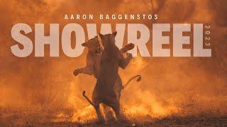 Aaron Baggenstos - 2023 Wildlife Cinematography Showreel