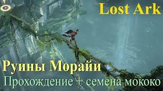 Руины Морайи: прохождение и поиск семян Мококо Lost Ark