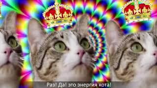 Cекрет энергии – Kitekat® feat  Кот Борис