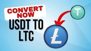 How to convert Tether USDT to Litecoin LTC