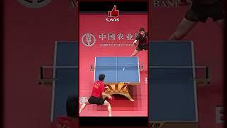 Ma Long & Fan Zhendong | Who Has More Wins?
