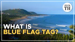 What is Blue Flag tag?