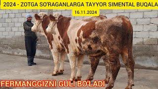 FERMABOP SIMENTAL BUQALAR SOTILADI ️ 94 499 02 00 ️  ZOTGA JOVOP YORVORADI@Hikmatillo_uz