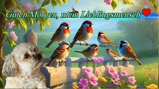 Guten Morgen mein Lieblingsmensch 🫶 hab einen wunderschönen Tag  liebe Grüße 