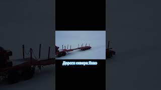 #янао #ямал #заполярныйкруг #дорогисевераянао #стройтранском #зимник #бездорожье #россия #север