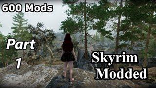 Skyrim Modded - Part 1 | Finding a companion | 600+ mods