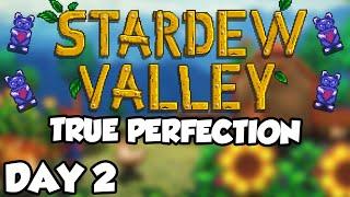 Stardew Valley 1.6.9 ROAD TO PERFECTION DAY 2 | DSN Live (11/9/2024)