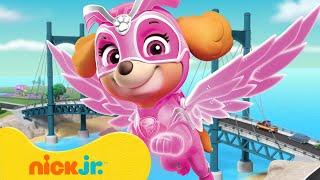 PAW Patrol Bridge Rescues and Adventures!  10 Minutes | Nick Jr.