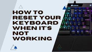 How To Reset Your Keyboard When It's Not Working