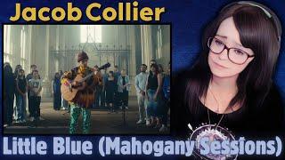 Jacob Collier - Little Blue at Mahogany Sessions | REACTION | First Time Hearing | OMG!!!