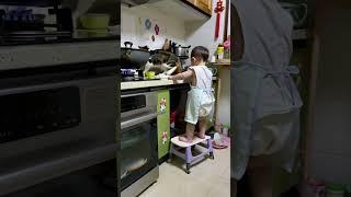 Tiny chef and cat cooking #cake #tinychef #youtubeshorts