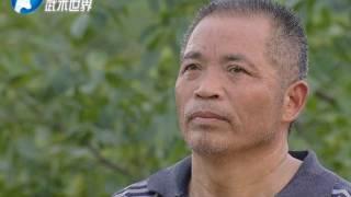 河南电视台武术世界频道【少林南院功夫】之《隐士出山》