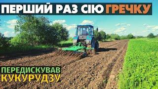 Передискував кукурудзу і перший раз сію гречку. Трактор МТЗ КИЙ 14 820 і дискова борона Бомет.