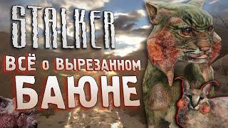 [S.T.A.L.K.E.R.] ВСЁ О БАЮНЕ | Почему вырезали кота мутанта?