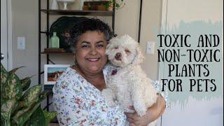 Non-Toxic and Toxic Plants to Protect Your Pets | Pet-friendly Plants