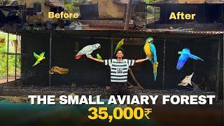 Small Home Aviary Making Video | 35,000₹ യുടെ ഒരു ചെറിയ കിളി കൂട്‌ ️ #trending #aviary #pets