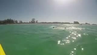 Swim Around Lido Key