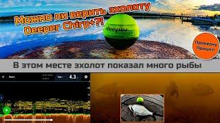 Проверка показаний эхолота Deeper CHIRP+ Правду ли показывает эхолот, что в этом месте много рыбы?