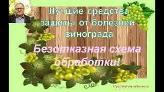 Лучшие средства защиты от болезней винограда. Часть 2. Безотказная схема обработки