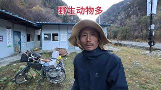 騎行川藏中線天黑被困峽谷中，廢棄鐵皮房生火做飯吃，擋風又安全