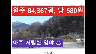 원주 84,367평, 당 680원 (아주 저렴한 임야 )