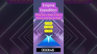 Enigma Expedition