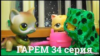 LPS: Гарем 34 серия