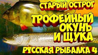 русская рыбалка 4 - Щука Окунь озеро Старый Острог - рр4 фарм Алексей Майоров russian fishing 4