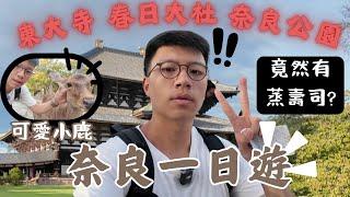 奈良一日遊超宏偉極震撼東大寺春日大社無限神社到奈良公園做小鹿首領！竟然發現蒸嘅壽司!？沿途發現極美公園