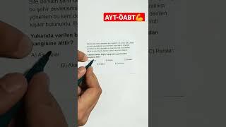 Öabt-Ayt Tarih #ayt #yks #kpss #öabttarih #tarih #yks2023 #shorts #youtubeshorts